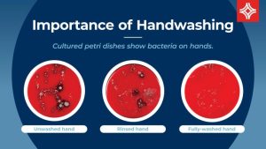 handwashing, infection prevention, germs, flu