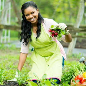 Garden workout 2025