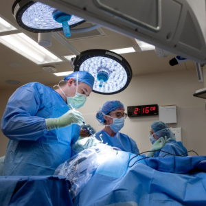 brain surgery, robotics, robot, neurosurgery